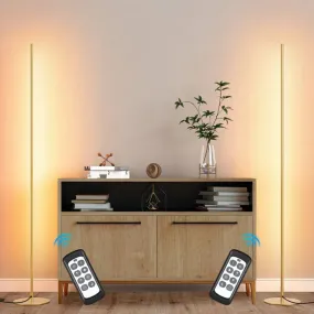 2 Pack Dimmable LED Corner Modern Floor Lamps with Remote-HFLCB2A